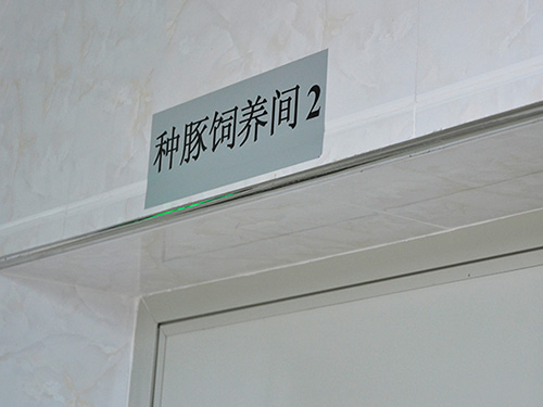 生產(chǎn)設施