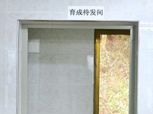 生產(chǎn)設施