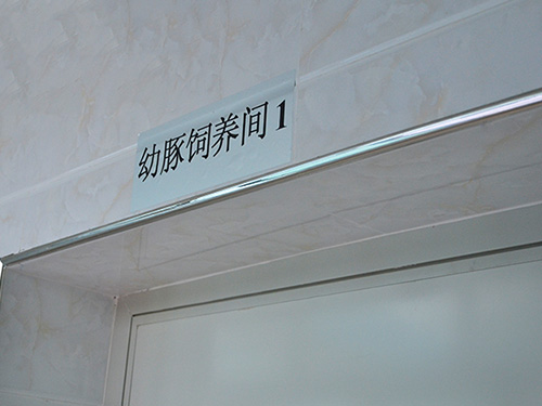 生產(chǎn)設施