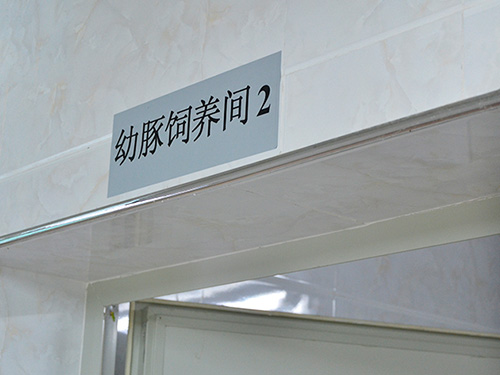 生產(chǎn)設施